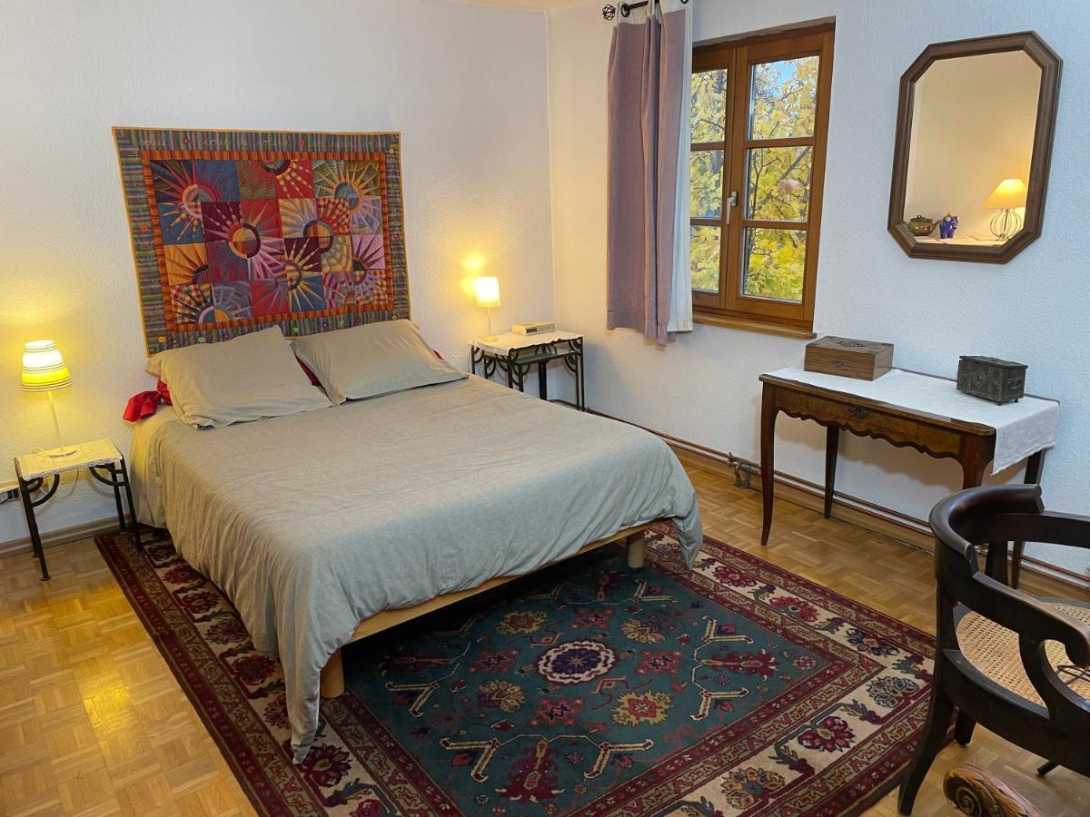 Chez Rosa Apartment Haguenau Ngoại thất bức ảnh